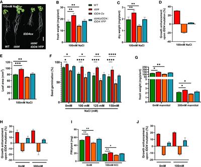 Salinity stress-induced phosphorylation of INDETERMINATE-DOMAIN 4 (IDD4) by MPK6 regulates plant growth adaptation in Arabidopsis